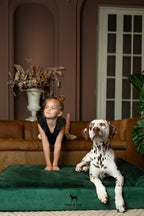 NOAH & PAW XL Dog Bed, Orthopedic Large Dog Beds, Eggshell Memory Foam Infused - Image 3