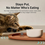 DownyPaws Cat Food Mats for Floors Waterproof, BPA Free Silicone Pet Feeding Mat - Image 7