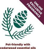 Arm & Hammer Forever Fresh Clumping Cat Litter Cedarwood, Pet Friendly - Image 2