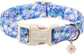 Floral Dog Collar for Medium Dogs by Babolepet