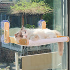 Cat Window Perch with Wooden Frame – Aloxina Foldable Cat Hammock Bed by Aloxina