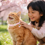 Cat Collar, Cat Collar with Bell, - Image 6