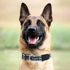 Pets First NFL Raiders Licensed PET COLLAR, Extra Large - Image 5