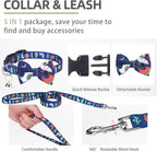 PUPTECK Adjustable Dog Harness Collar and Leash Set, Step in No Pull Pet Harness - Image 3
