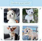 Dinosaur Dog Collar for Extra Small Dogs, Cute Puppy Collars - Image 3