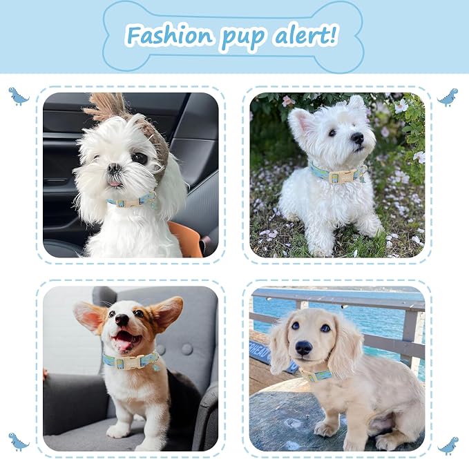 Dinosaur Dog Collar for Medium Dogs, Cute Puppy Collars - Image 3