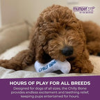 Multipet Chilly Bone Dog Toy - Image 7