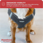 Downtown Pet Supply Step in Dog Harness No Pull, Titanium - Image 7