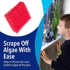 Evergreen Pet Supplies Aquarium Glass Cleaner Sponge - Image 2