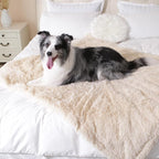 gogobunny Waterproof Dog Blanket - Image 5