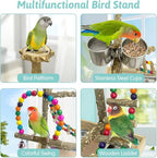 PINVNBY Bird Playground Natural Wood Bird Play Stand - Image 6