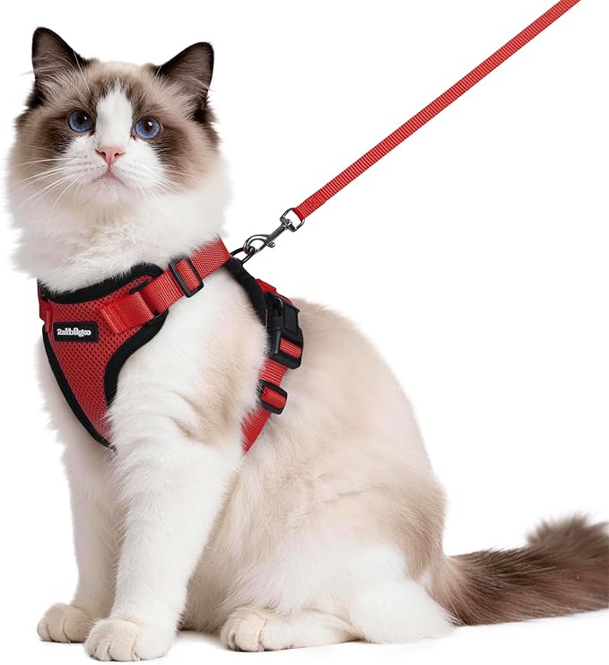 rabbitgoo Cat Harness and Leash by rabbitgoo