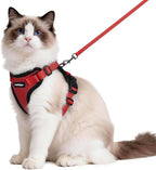 rabbitgoo Cat Harness and Leash by rabbitgoo