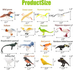 ZENFUN 29 Pieces Realistic Bird Animals Figurines, Mini Bird Model, Birds Cake - Image 2