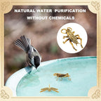 Moxweyeni 4 Pcs Mini Bird Bath Copper Ornaments Bird Bath Purification Disk - Image 6