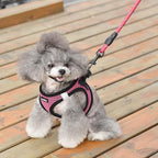 Dog Harness Step-in Breathable Puppy Cat Dog Vest Harnesses - Image 6