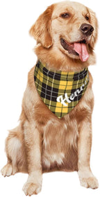 Custom Pet Scarf Personalized Dog Bandana - Image 9
