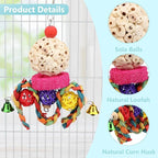Wontee Bird Toys 3 Pack Parrot Foraging Hanging Toys Sola Ball Natural Nuts - Image 2
