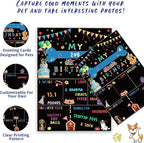 Blue Dog Birthday Party Supplies Pet Birthday Bandanas Boy Doggy Birthdays Hat - Image 4