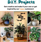 Good Pet Stuff Hidden Litter Box Planter, Decorative Cat Litter Enclosure - Image 13
