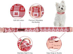 Unique style paws Dog Collar Metal Buckle Collar - Image 2