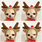 Warm Dog Winter Clothes Cute Fruit Dog Coat Hoodies Fleece Pet Dogs Costume - Image 2