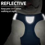 PUPTECK Adjustable Dog Harness Collar and Leash Set Step in No Pull Pet Harness - Image 5