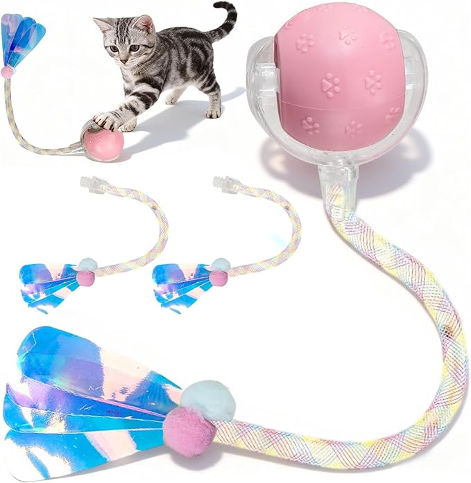 Rocfish Durable Interactive Cat Toys by Unknown
