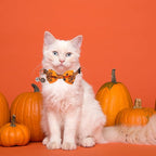 ADOGGYGO Halloween Cat Collars - Image 3