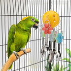 Hypeety Pet Parrot Toy Plastic Colorful Birds Ball - Image 4