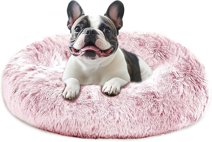 JOLLYVOGUE Calming Dog Bed Medium Size Dog, Anti-Anxiety Donut Medium Pet Bed by JOLLYVOGUE