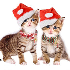 Faygarsle 2 Pack Christmas Cat Collars - Image 6
