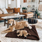 Fleece Throw Blankets Bulk Fleece Blankets Solid Wholesale Lightweight Warm Soft - Image 4