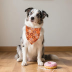 ADOGGYGO Dog Bandanas Boy Girl, Reversible Football Donuts Pet Scarf, Premium - Image 2