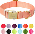 Nylon Dog Collar by Babolepet