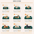 Comfort Expression Orthopedic Dog Bed - Image 3