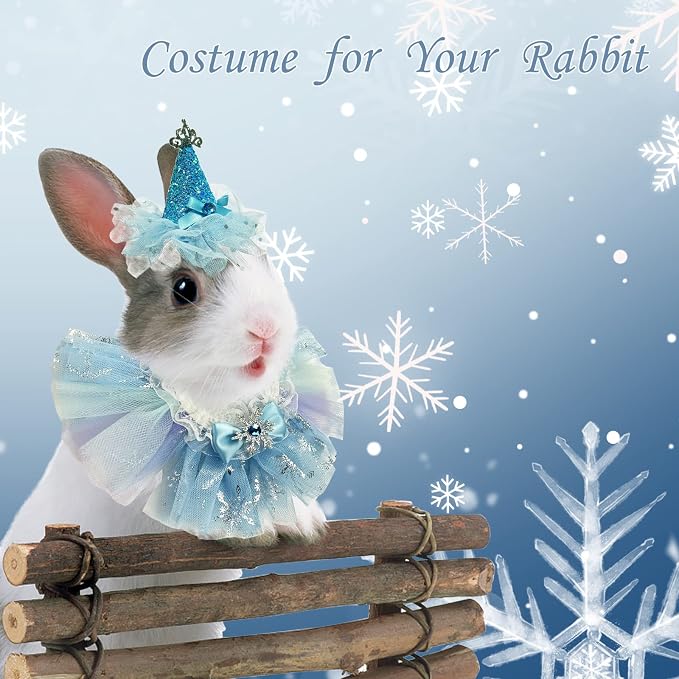 Small Animal Birthday Princess Costume - Image 5