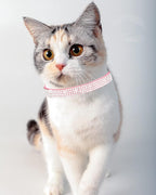 Solmoony Breakaway Cat Collars - Image 4