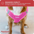 Downtown Pet Supply Step-in Dog Harness – No Pull, Adjustable Padded Mesh - Image 7