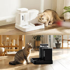 Gravity Cat Feeder and Water Dispenser, 2 in 1 Cat Self Feeder - Image 8
