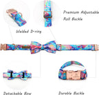 Lionheart glory Dog Collar, Colorful Dog Collar - Image 5