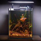 majoywoo Natural Driftwood for Aquarium Decor Fish Tank Decorations, Reptile - Image 5