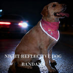 Birthday Dog Bandanas Girl, Cat Dogs Triangle Pet Scarves - Image 5