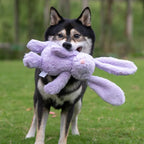 Best Pet Supplies Squeaky Dog Toys - Image 6