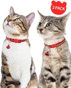 Taglory Reflective Cat Collar Breakaway - Image 2