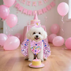 hoyuwak Dog Birthday Party Supplies Girl Dog Birthday Bandana Tutu Set Cute Hat - Image 6
