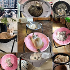 Cat Bed Dog Bed Pet Hammock Bed Cat Sleeping Cat Supplies Pet Supplies Whole - Image 7