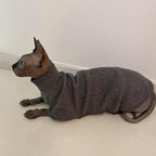 Sphynx Cats Shirt Cat Turtleneck Cotton Sweater Pullover Kitten T-Shirts - Image 4