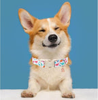 Summer Dog Collar, Adorable Dinosaur Cotton Dog Collar - Image 5