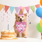 STMK Dog Birthday Outfits - Image 2
